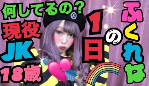 【密着】いつも何してるの？ふくれなの1日を紹介します。