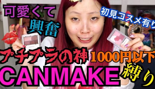 【プチプラ界の神】オン眉すっぴんドブ女がキャンメイクでフルメイクやってみた！！！！