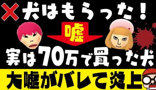 【嘘がバレて大炎上】保健所行きになるかもと引き取って飼った犬が、実はペットショップで買った犬！えむれなチャンネル（Mくんとふくれな）