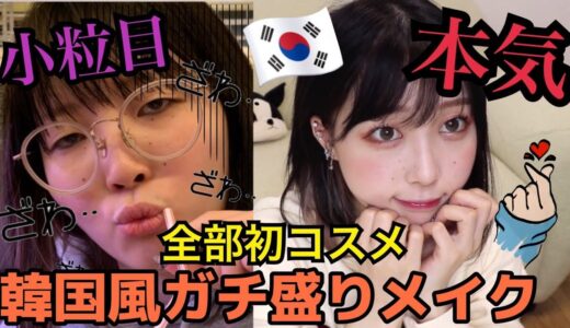 【美女に負けない】韓国コスメ初開封しながらメイクしたら人生で1番盛れた‼︎‼︎‼︎【ふくれな】