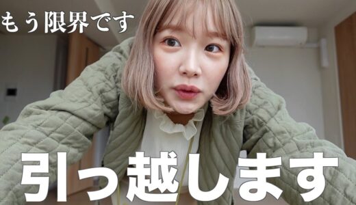 【緊急】あまりにも限界で引っ越します。怖いの苦手な人見ないでください。ついでに新居初公開しちゃう