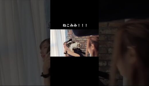 #かす#かすこな#青春しゅわしゅわクラブ #青ラブ #仲子さん#そわんわん#ふくれな#きりたんぽ#かすたんぽ#スカイピース#じんたん#テオくん#徳川家康#加藤乃愛#かすのあ#ジュキヤ#花咲ドクダミチュ